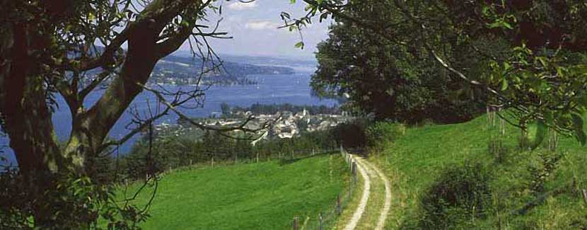 Foto: Helmut Voith – Blick über Klingenzell auf den Untersee