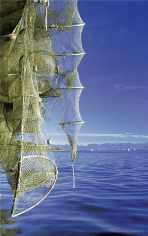 Foto: M. Bichler – Fischernetze