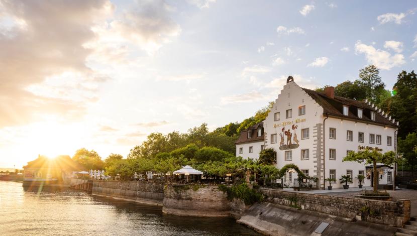 Wilder Mann in Meersburg